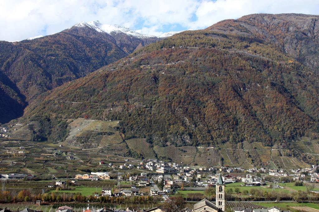 La Madonnina Apartment Villa di Tirano Exterior photo