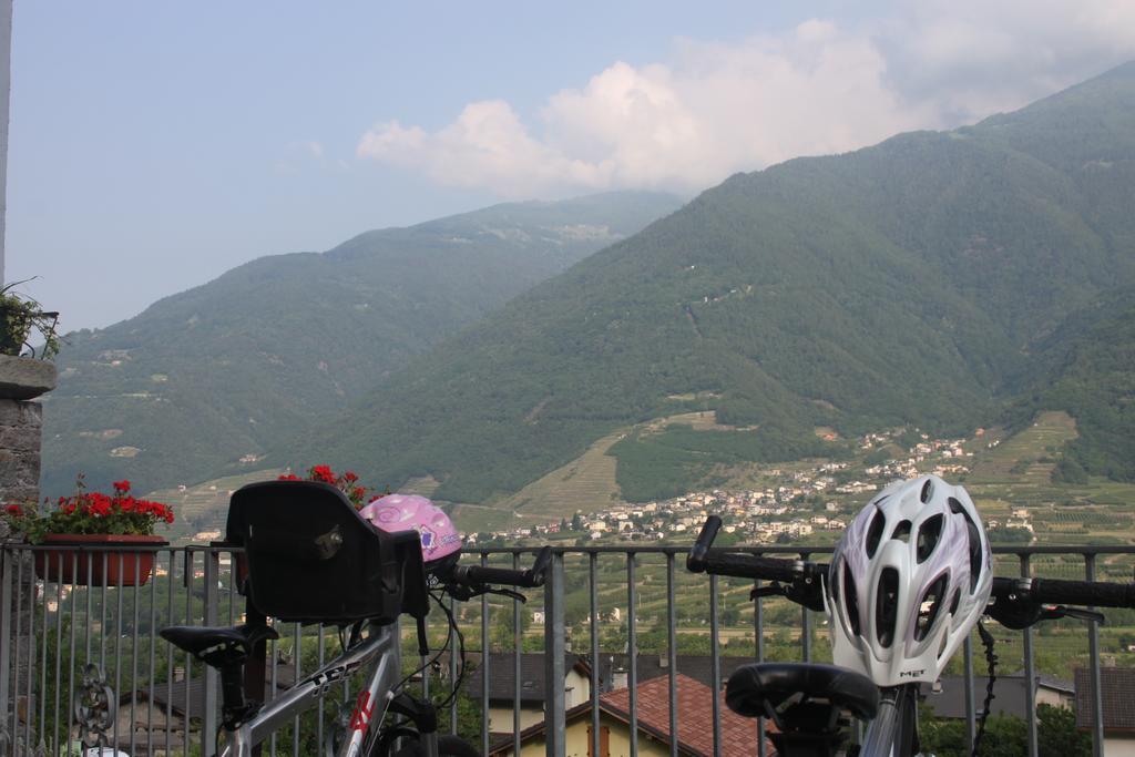 La Madonnina Apartment Villa di Tirano Exterior photo